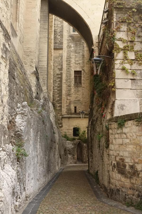 La Maison Im Avignone Esterno foto